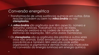 Conversão energética
• Transformação de umas sustâncias químicas em outras. Estas
reações sucedem ou bem na mitocôndria ou nos
cloroplastos.
• A mitocôndria são orgânulos que têm aspecto, número e
tamanho variáveis. Trabalham no ciclo de Krebs,
fosforilação oxidava e na cadeia de transporte de
elétrones da respiração. Têm uma dobre membrana.
• Os cloroplastos são os orgânulos das plantas e outros seres
vivos não animais. Estão envoltos por duas membranas
concêntricas e também têm vesículas onde estão
organizados os pigmentos e demais moléculas implicadas
na conversão da energia luminosa em energia química.
•
 