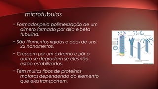 microtubulos
• Formados pela polimerização de um
dímero formado por alfa e beta
tubulina.
• São filamentos rígidos e ocos de uns
25 nanômetros.
• Crescem por um extremo e pôr o
outro se degradam se eles não
estão estabilizados.
• Tem muitos tipos de proteínas
motoras dependendo do elemento
que eles transportem.
 