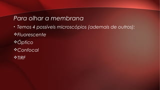 Para olhar a membrana
• Temos 4 possíveis microscópios (ademais de outros):
vFluorescente
vÓptico
vConfocal
vTIRF
 