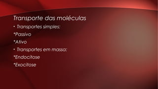 Transporte das moléculas
• Transportes simples:
*Passivo
*Ativo
• Transportes em massa:
*Endocitose
*Exocitose
 