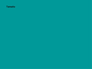 Tamaño 