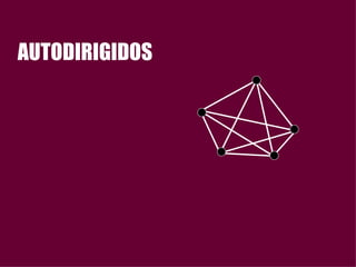 AUTODIRIGIDOS 