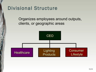 13-15
Organizes employees around outputs,
clients, or geographic areas
Divisional Structure
CEOCEO
HealthcareHealthcare
LightingLighting
ProductsProducts
ConsumerConsumer
LifestyleLifestyle
 