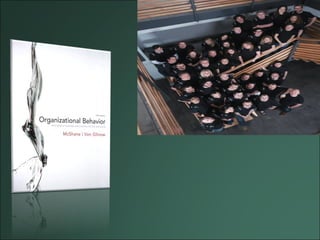 Organizational structure in Organization