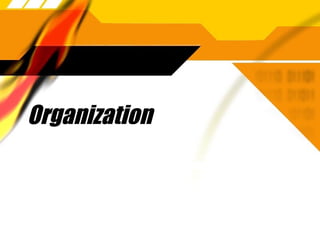 Organization 