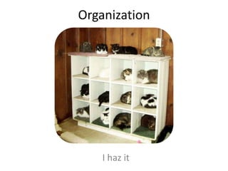 Organization I haz it 