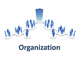 Organization
 