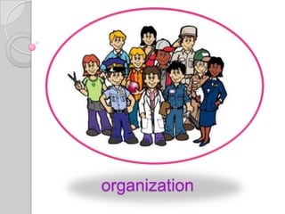 organization
 