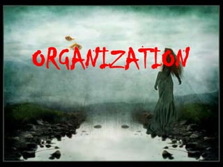 ORGANIZATION

 