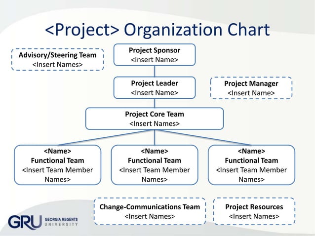 Organization Chart & Project Responsibilities | PPTX | Executive ...