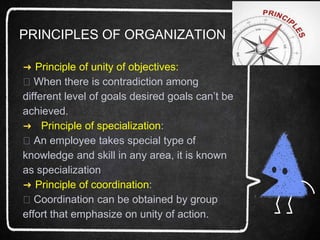 organization.pptx