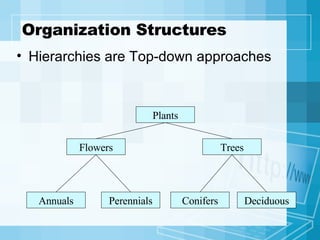Organization Structures Hierarchies are Top-down approaches Plants Flowers Trees Annuals Perennials Conifers Deciduous 