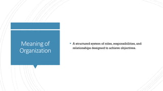 Comprehensive Overview of Organization: Meaning, Types, and Importance ...