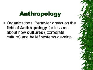 Anthropology Organizational Behavior draws on the field of  Anthropology  for lessons about how  cultures  ( corporate culture) and belief systems develop.  