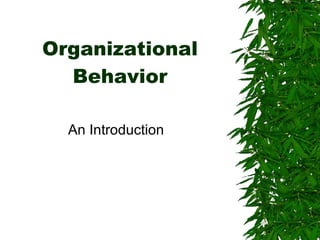 Organizational Behavior An Introduction 