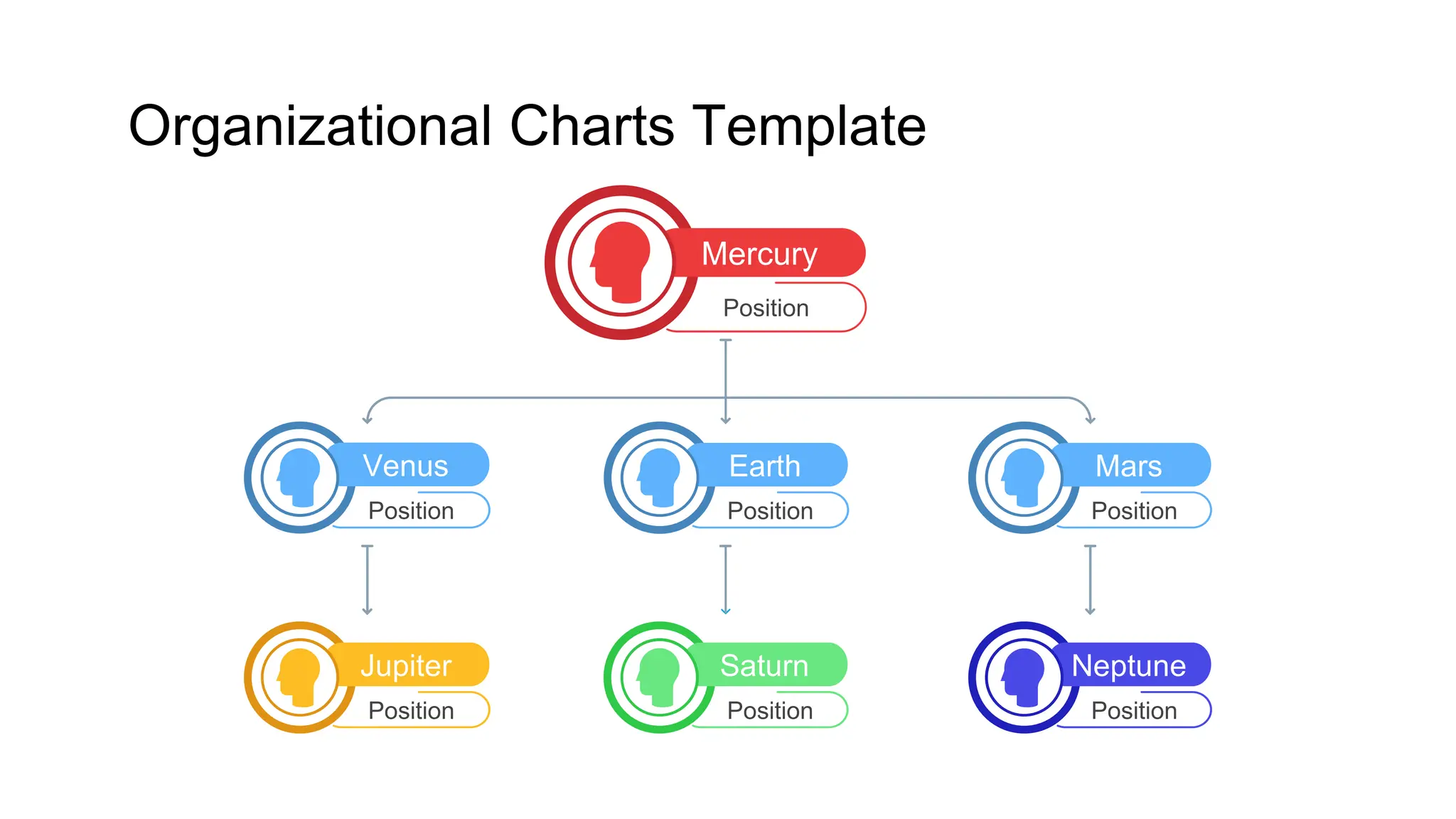 organizational-chart for organogram-1.pptx
