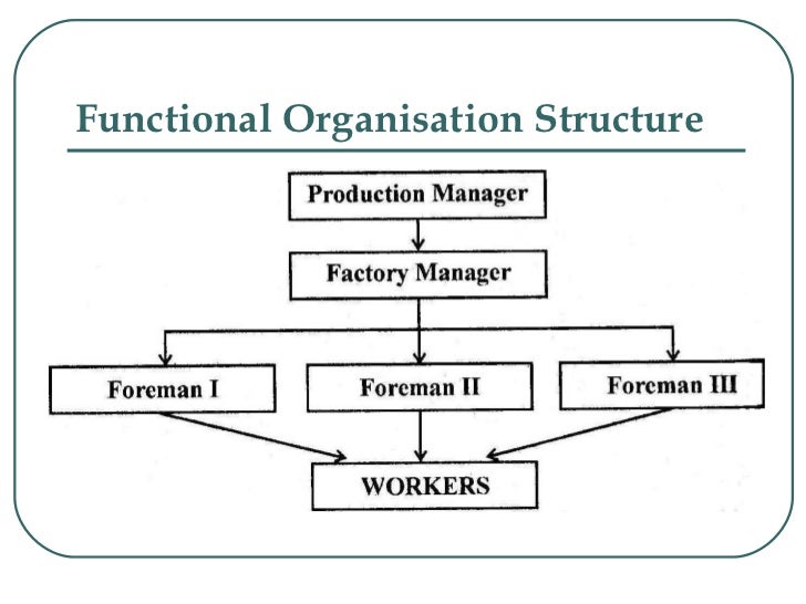 functional organizational chart