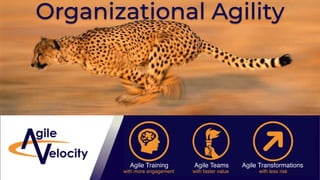 Organizational Agility
Agile Training Agile Teams Agile Transformations
with more engagement with faster value with less risk
 