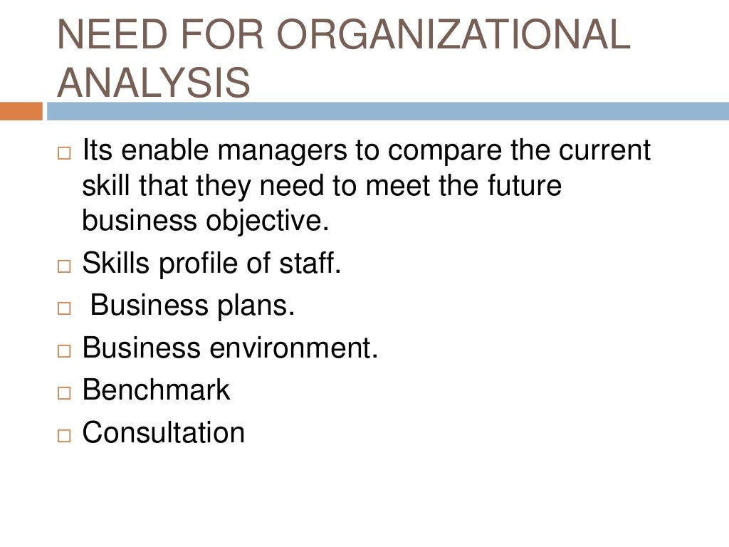 Organizational analysis 5