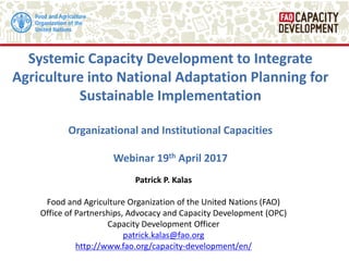 Systemic Capacity Development to Integrate
Agriculture into National Adaptation Planning for
Sustainable Implementation
Organizational and Institutional Capacities
Webinar 19th April 2017
Patrick P. Kalas
Food and Agriculture Organization of the United Nations (FAO)
Office of Partnerships, Advocacy and Capacity Development (OPC)
Capacity Development Officer
patrick.kalas@fao.org
http://www.fao.org/capacity-development/en/
 