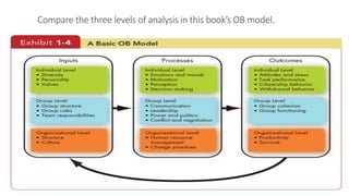 Compare the three levels of analysis in this book’s OB model.
 