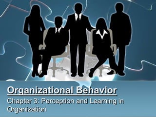 Organizational Behavior
Chapter 3: Perception and Learning in
Organization
 