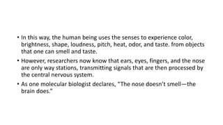 • In this way, the human being uses the senses to experience color,
brightness, shape, loudness, pitch, heat, odor, and taste. from objects
that one can smell and taste.
• However, researchers now know that ears, eyes, fingers, and the nose
are only way stations, transmitting signals that are then processed by
the central nervous system.
• As one molecular biologist declares, “The nose doesn’t smell—the
brain does.”
 