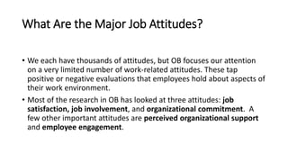 What Are the Major Job Attitudes?
• We each have thousands of attitudes, but OB focuses our attention
on a very limited number of work-related attitudes. These tap
positive or negative evaluations that employees hold about aspects of
their work environment.
• Most of the research in OB has looked at three attitudes: job
satisfaction, job involvement, and organizational commitment. A
few other important attitudes are perceived organizational support
and employee engagement.
 