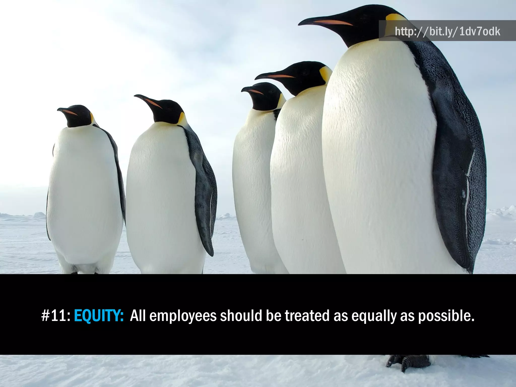 #11: EQUITY: All employees should be treated as equally as possible.
http://bit.ly/1dv7odk
 
