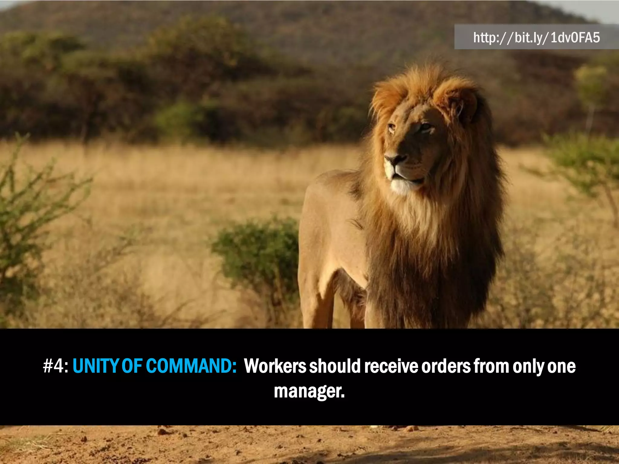 #4: UNITYOF COMMAND: Workersshould receiveordersfrom only one
manager.
http://bit.ly/1dv0FA5
 
