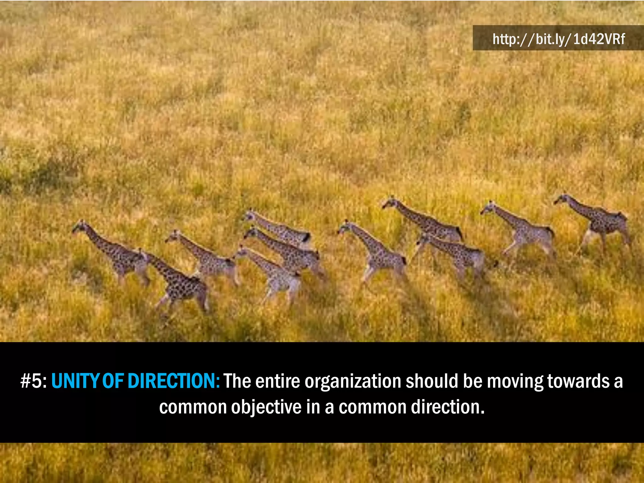 #5: UNITYOF DIRECTION: The entire organization should be moving towards a
common objective in a common direction.
http://bit.ly/1d42VRf
 