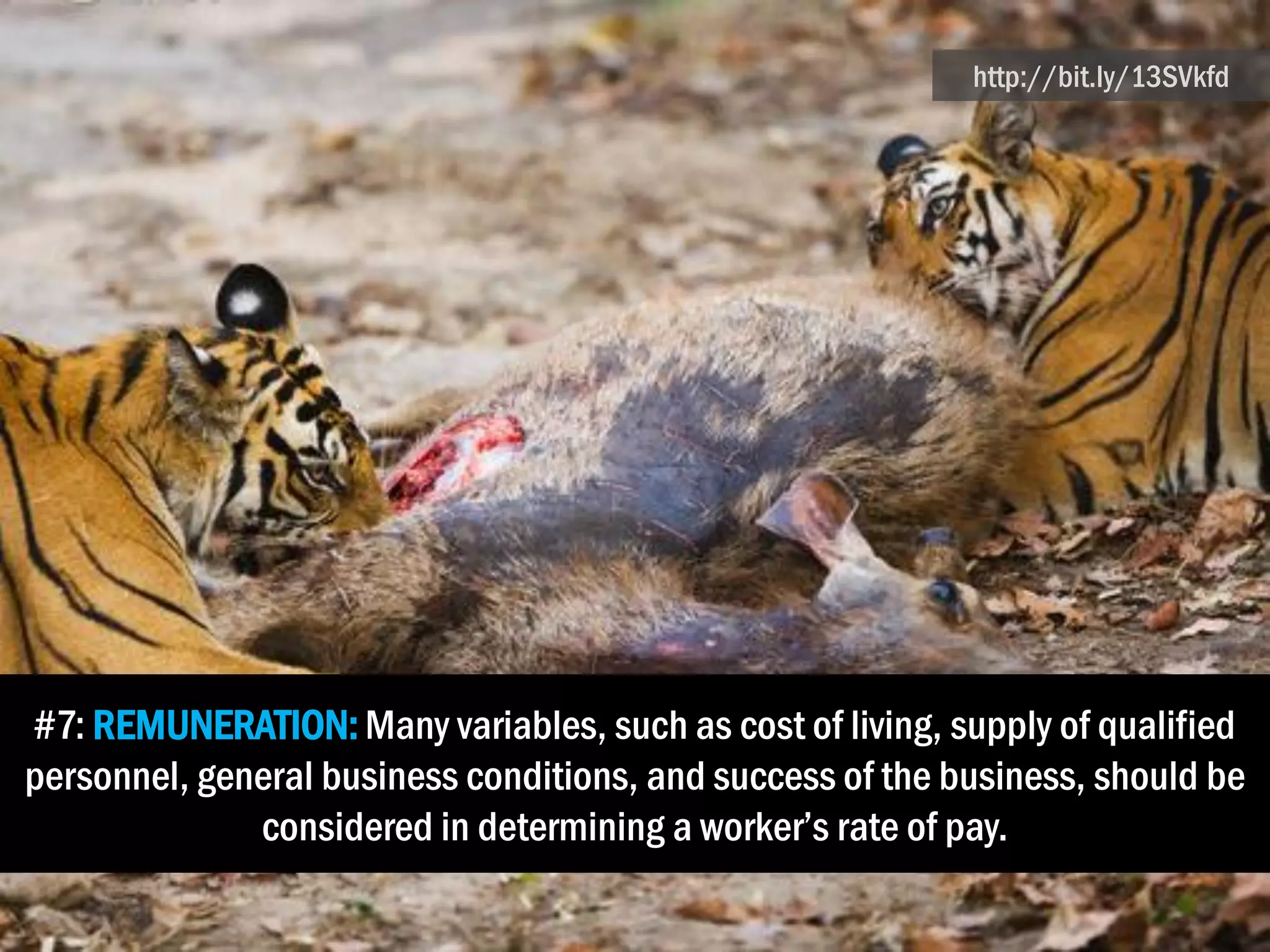 #7: REMUNERATION: Many variables, such as cost of living, supply of qualified
personnel, general business conditions, and success of the business, should be
considered in determining a worker’s rate of pay.
http://bit.ly/13SVkfd
 