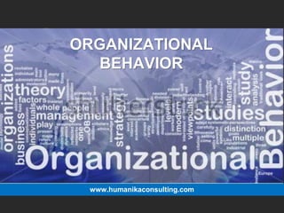 ORGANIZATIONAL
  BEHAVIOR




 www.humanikaconsulting.com
 