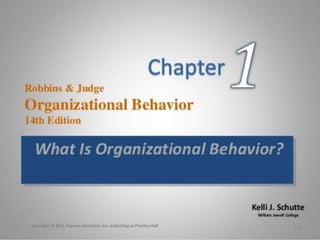 Organizational behavior 14 edition stephen .p. robbin