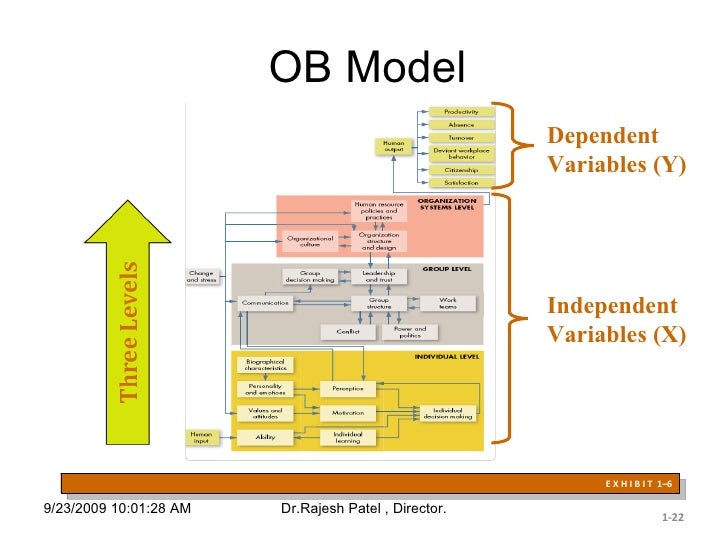 Organizational Behavior (An Overview)