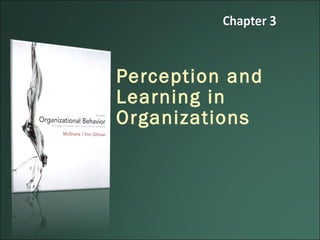 Perception and
Learning in
Organizations
 