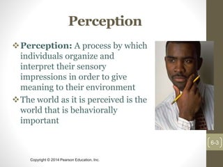 Organizational Behavior Chapter 5 Perception and Individual Decision ...