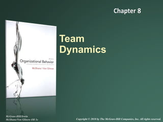 Team
Dynamics
McGraw-Hill/Irwin
McShane/Von Glinow OB 5e Copyright © 2010 by The McGraw-Hill Companies, Inc. All rights reserved.
 