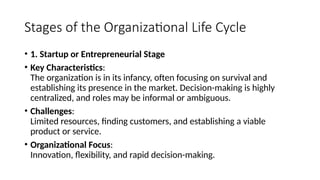 Stages of the Organizational Life Cycle
• 1. Startup or Entrepreneurial Stage
• Key Characteristics:
The organization is in its infancy, often focusing on survival and
establishing its presence in the market. Decision-making is highly
centralized, and roles may be informal or ambiguous.
• Challenges:
Limited resources, finding customers, and establishing a viable
product or service.
• Organizational Focus:
Innovation, flexibility, and rapid decision-making.
 