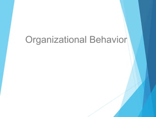 Organizational Behavior 
 