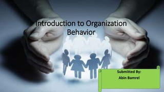 Introduction to Organization
Behavior
Submitted By:
Abin Bamrel
 