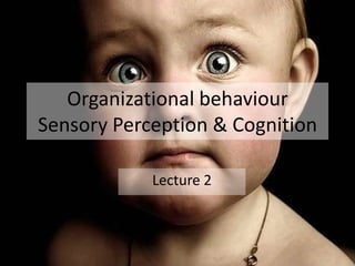 Organizational behaviour
Sensory Perception & Cognition

            Lecture 2
 