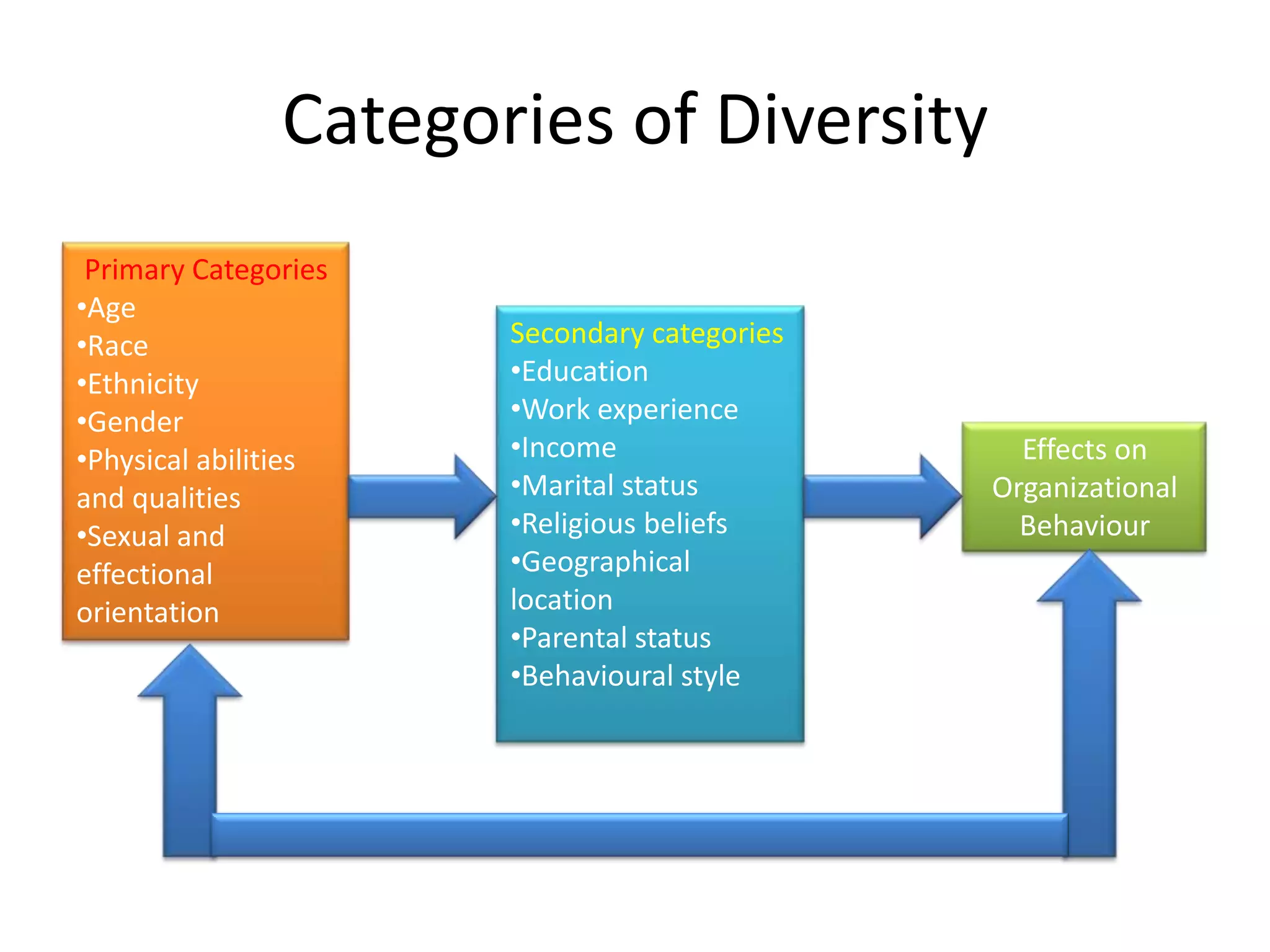 Categories of DiversityPrimary CategoriesAge