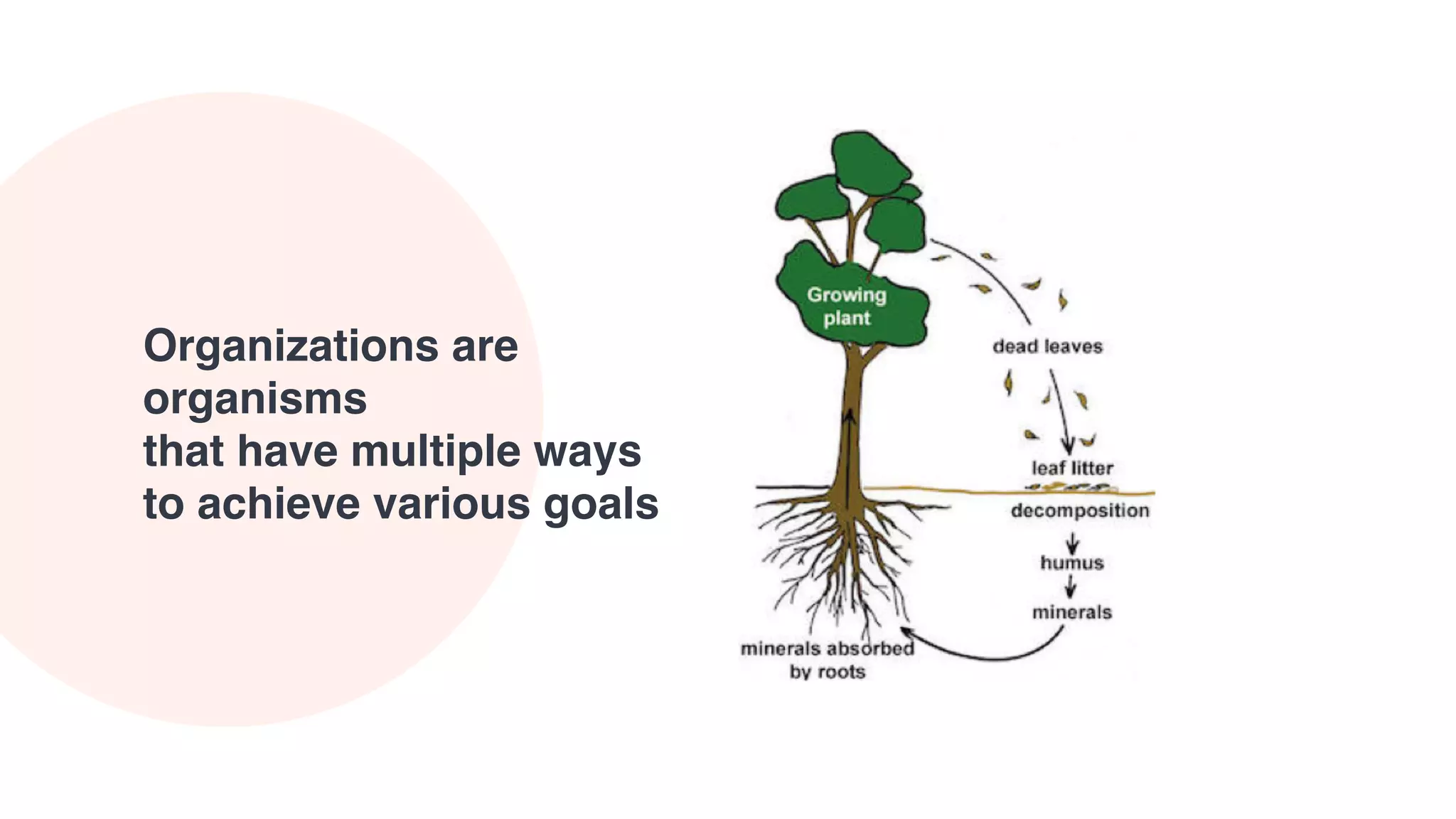 Organizations are
organisms
that have multiple ways
to achieve various goals
 