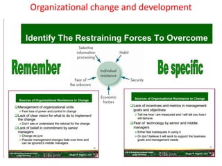 Organizational change and development
 