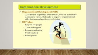 Organizational Change and Stress Management | PDF