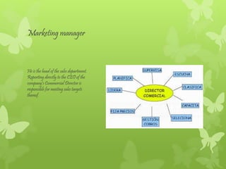 Marketing manager
He is the head of the sales department.
Reporting directly to the CEO of the
company's Commercial Director is
responsible for meeting sales targets
thereof.