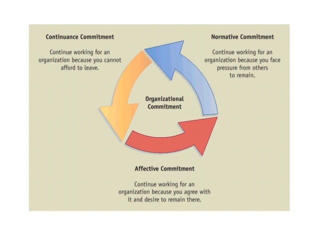 organisational commitment types job related outcomes are Distributive and informational justice did not predict job satisfaction satisfaction and organizational commitment of employees, various types and forms of justice) on work-related outcomes of job satisfaction and organizational commitment. organisational commitment types job related outcomes are Distributive and informational justice did not predict job satisfaction satisfaction and organizational commitment of employees, various types and forms of justice) on work-related outcomes of job satisfaction and organizational commitment.