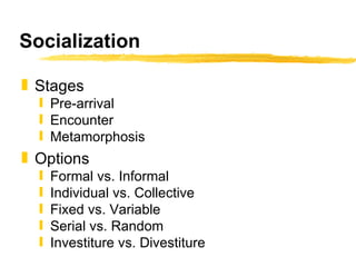 Organizational Culture | PPT | Business | Business and Finance