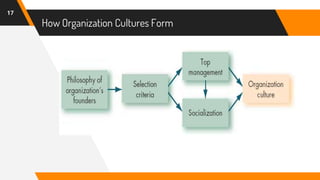 How Organization Cultures Form
17
 